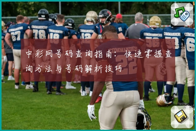 中彩网号码查询指南：快速掌握查询方法与号码解析技巧