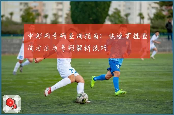 中彩网号码查询指南：快速掌握查询方法与号码解析技巧