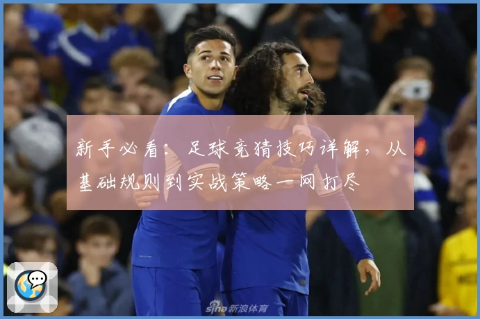 新手必看:足球竞猜技巧详解,从基础规则到实战策略一网打尽
