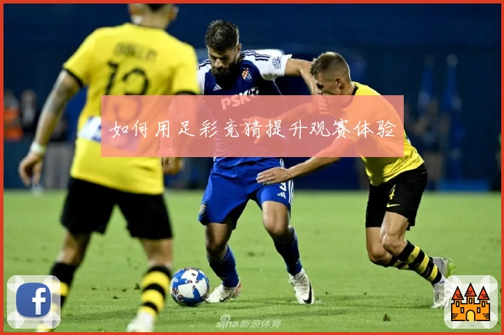 如何用足彩竞猜提升观赛体验