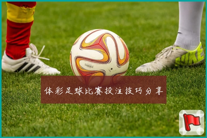 体彩足球比赛投注技巧分享