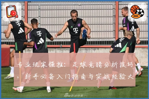 专业玩家强推：足球竞猜分析技巧，新手必备入门指南与实战经验大解析